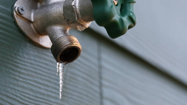 Best Plumbing Inspection Services  in Broadmoor, CA
